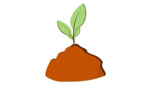 Environmental Protection